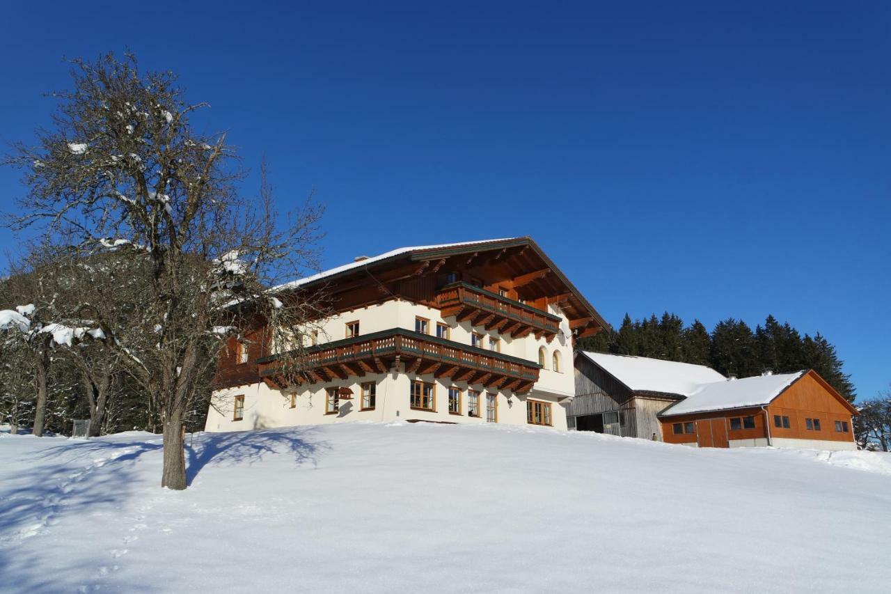Gästehaus Davidbauer Exterior foto